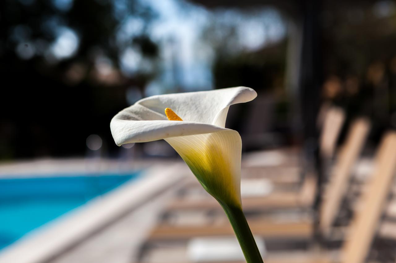 Art Hotel Ventaglio バルドリーノ エクステリア 写真